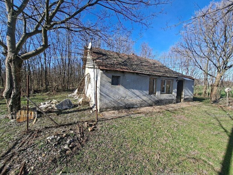 Listing photo