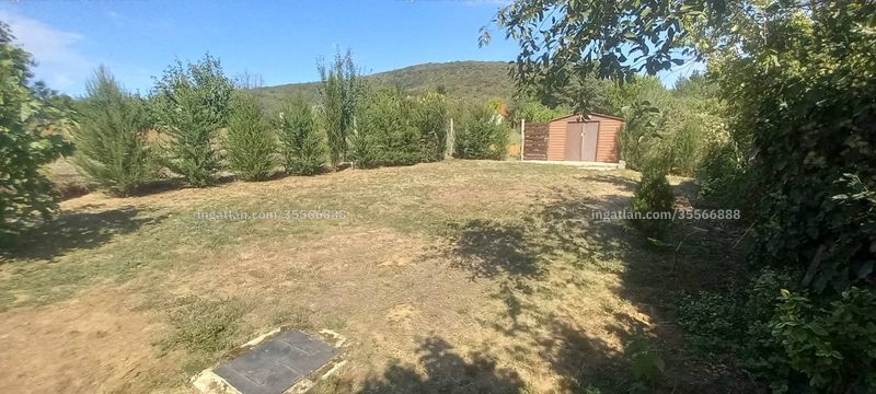 Bild über die Immobilie