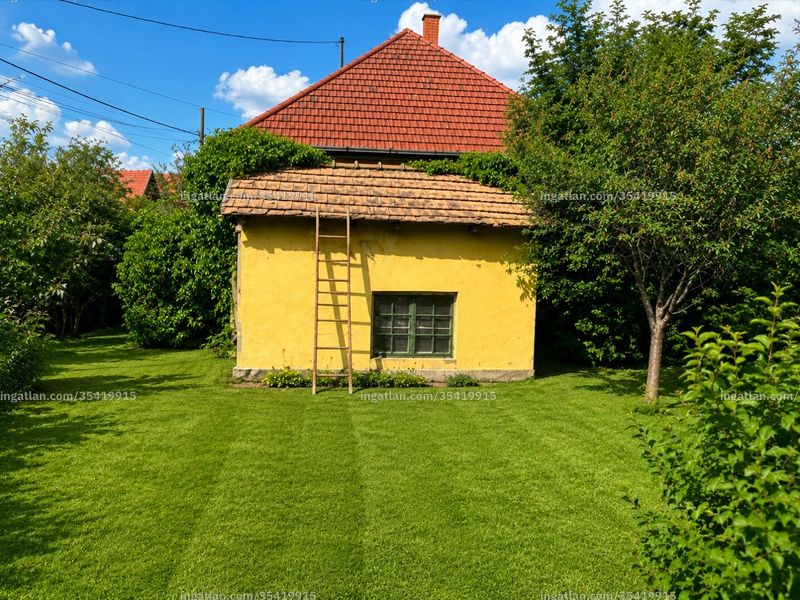 Foto auflisten