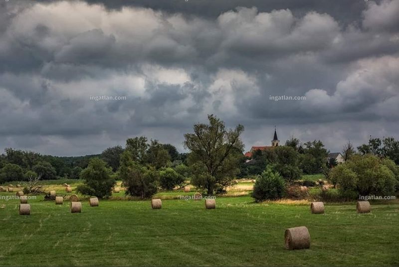 Foto auflisten