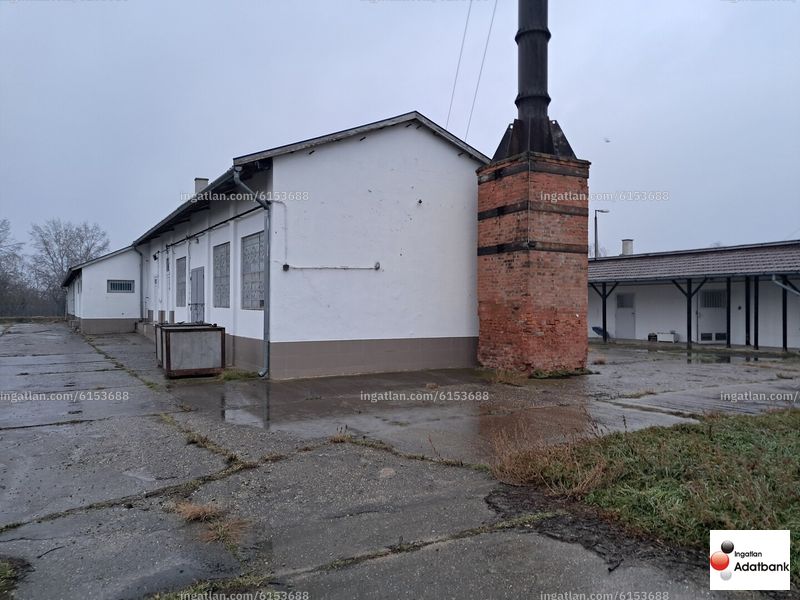 Foto auflisten