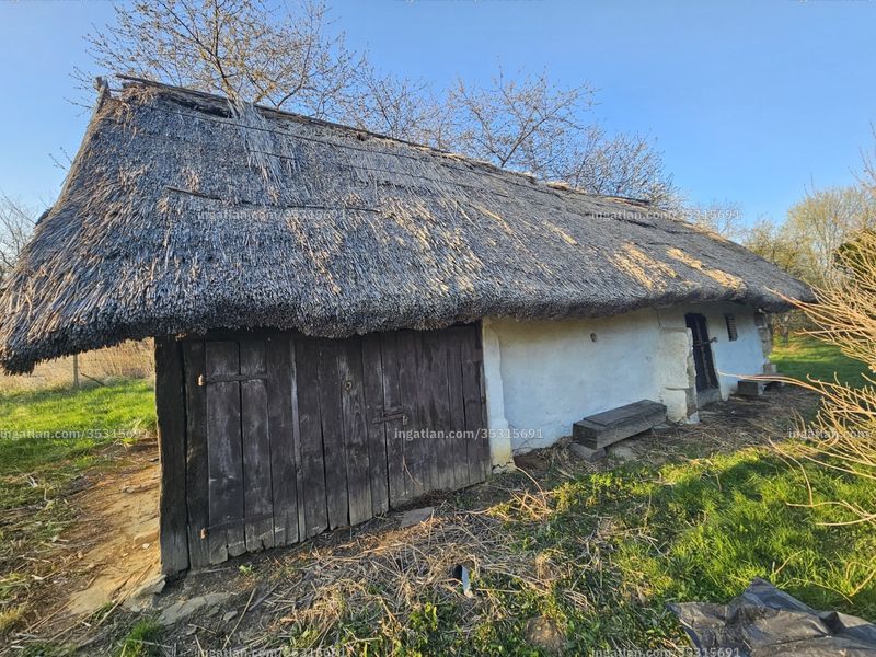 Foto auflisten