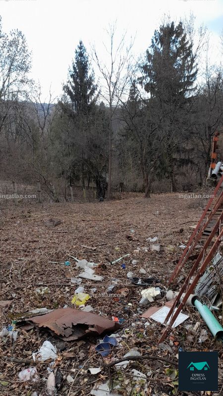 Bild über die Immobilie