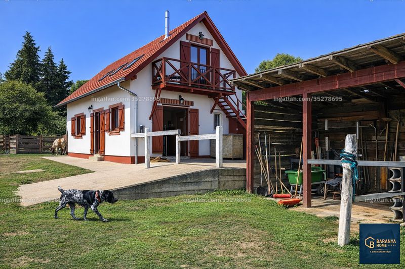 Hirdetés fotója