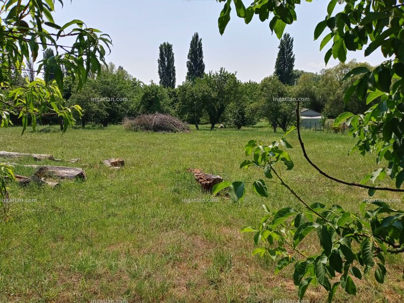 Foto auflisten