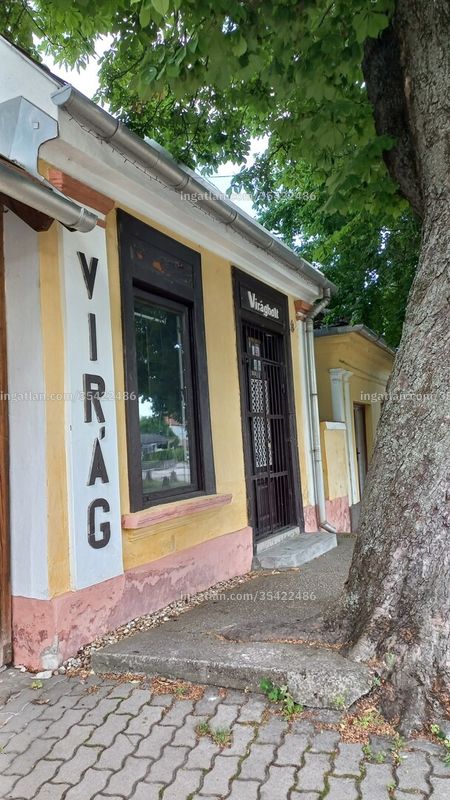 Kép az ingatlanról