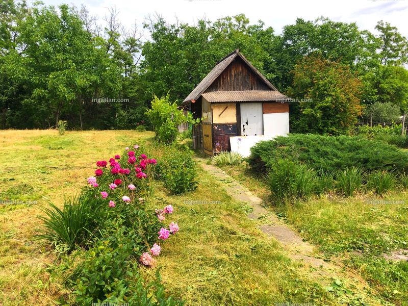 Listing photo
