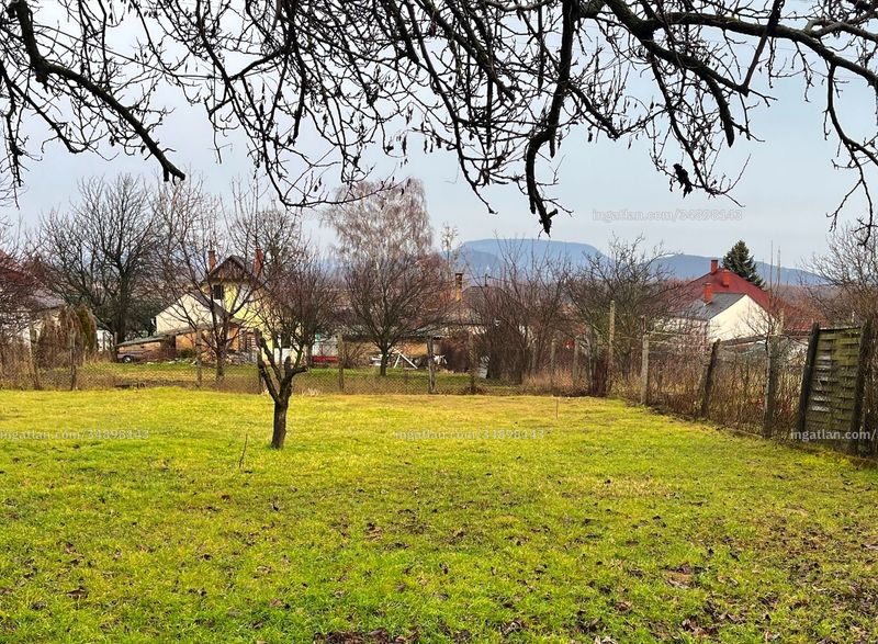 Foto auflisten