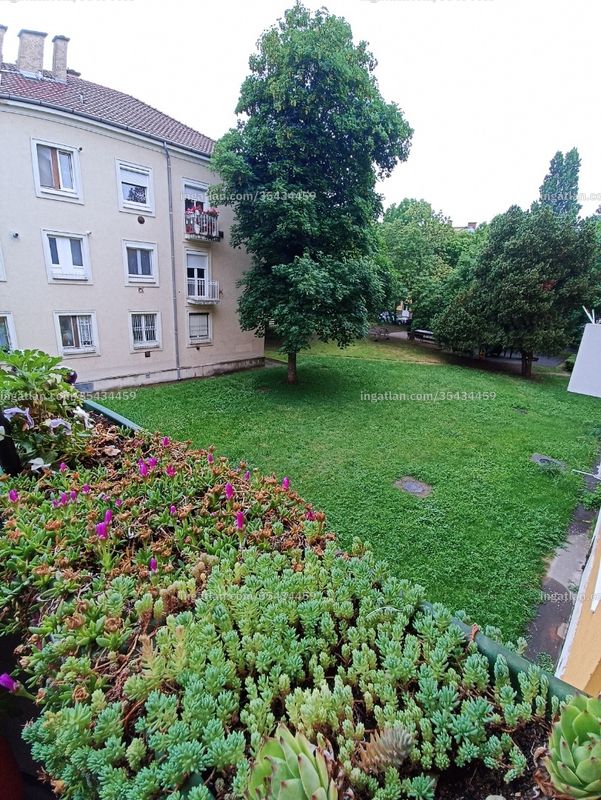 kilátás