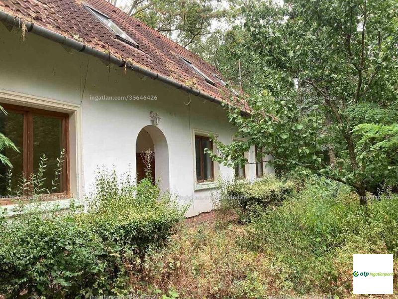 Ingatlan kép