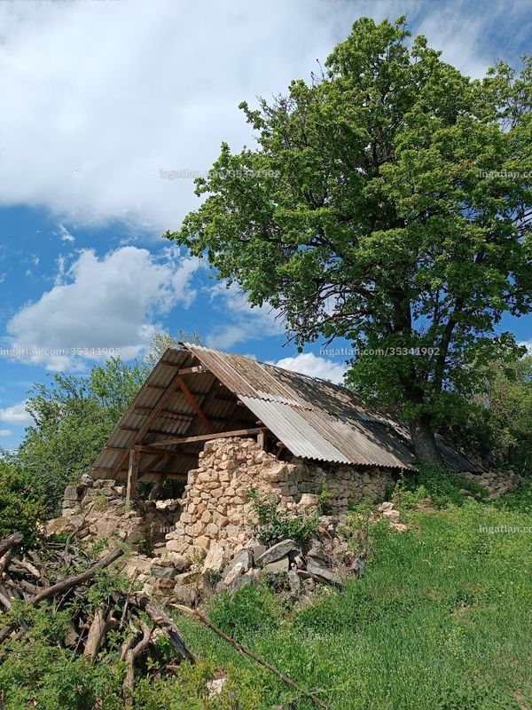 Foto auflisten