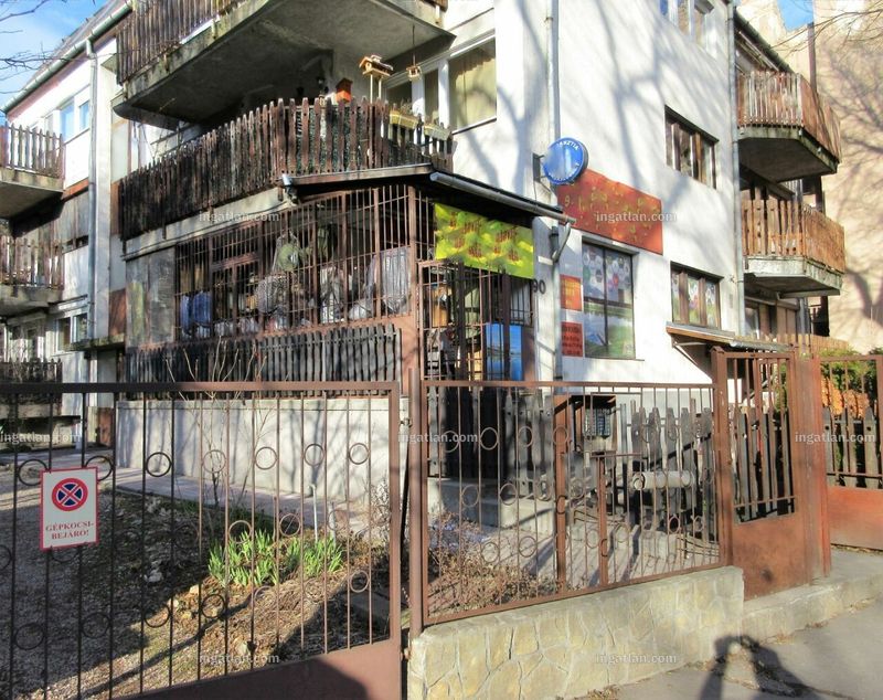 Ingatlan kép