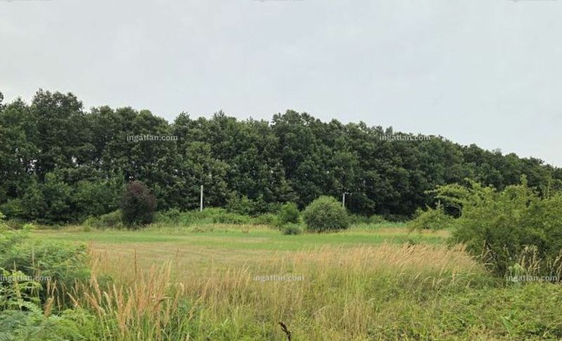 Foto auflisten