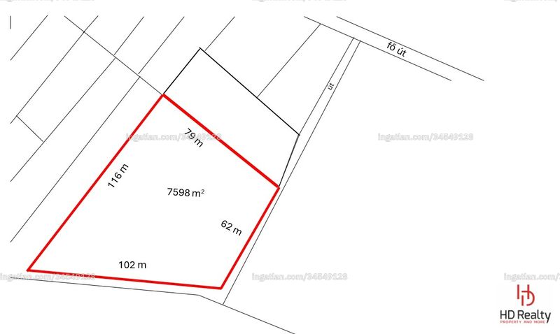 Picture of the real estate