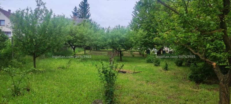 Ingatlan kép