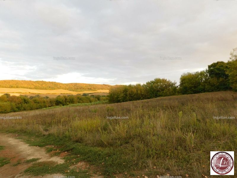 Bild über die Immobilie