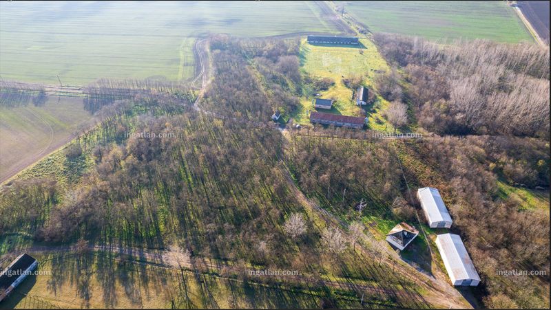 Kép az ingatlanról