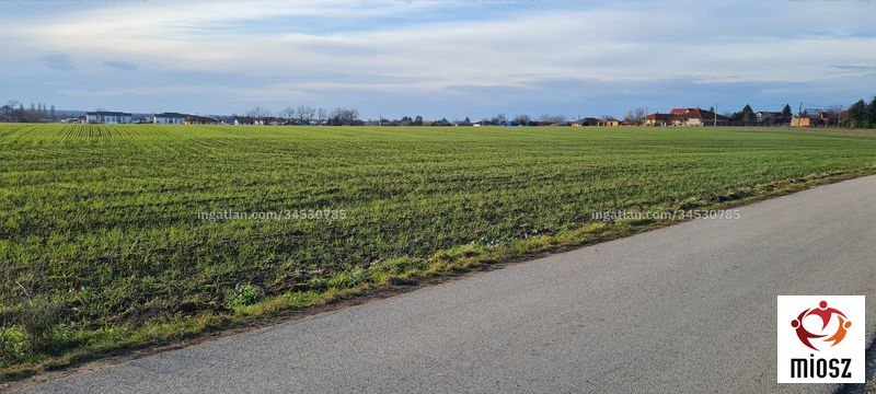 Foto auflisten