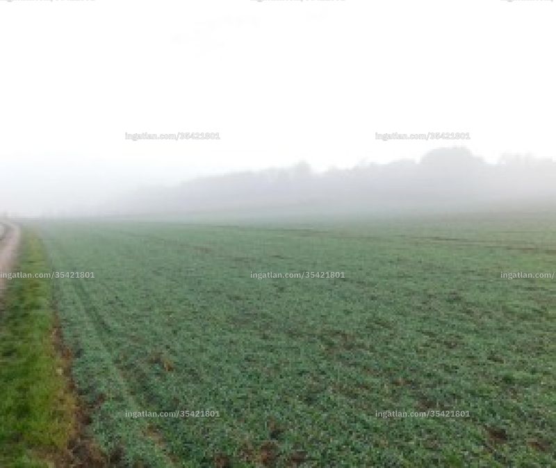 Foto auflisten