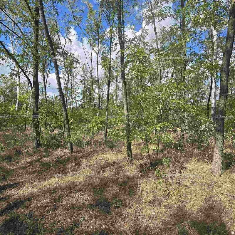 Bild über die Immobilie