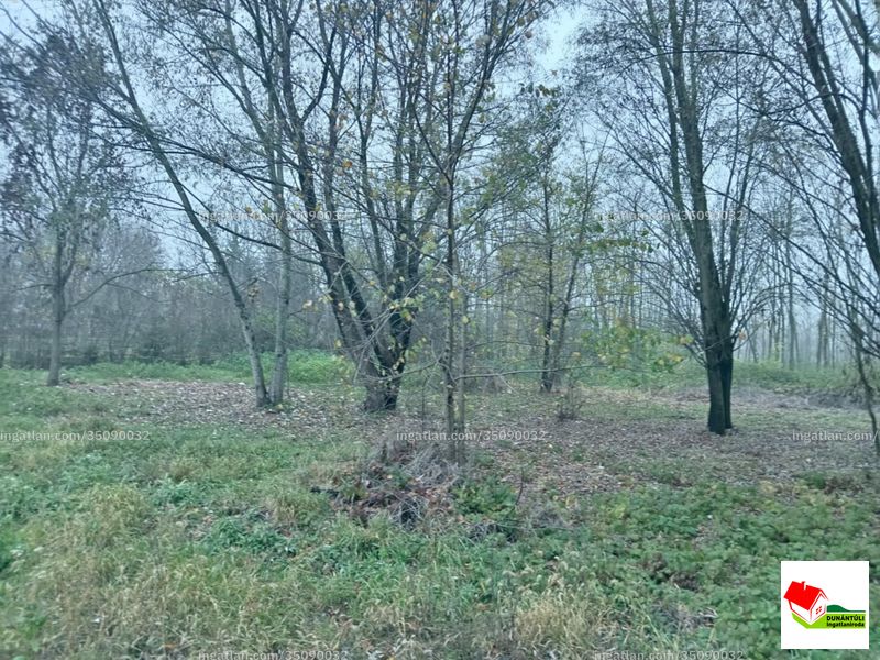 Foto auflisten