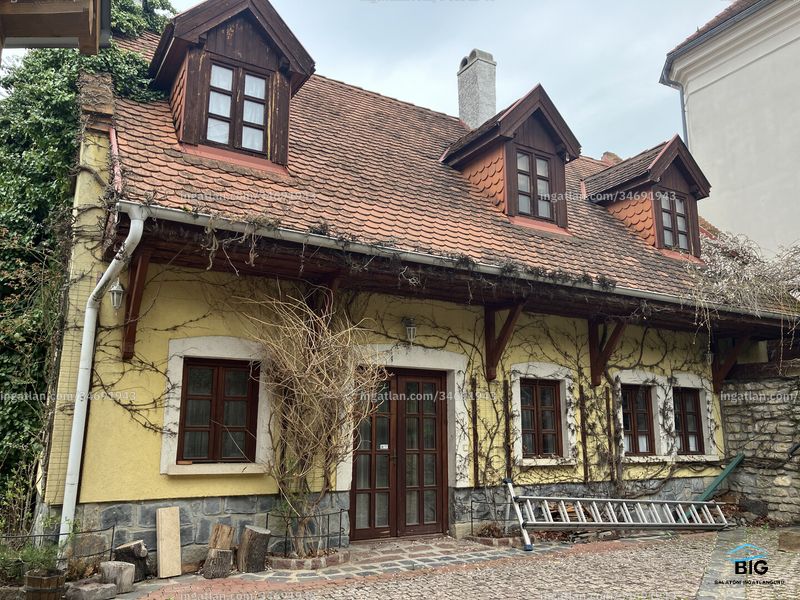 Ingatlan kép