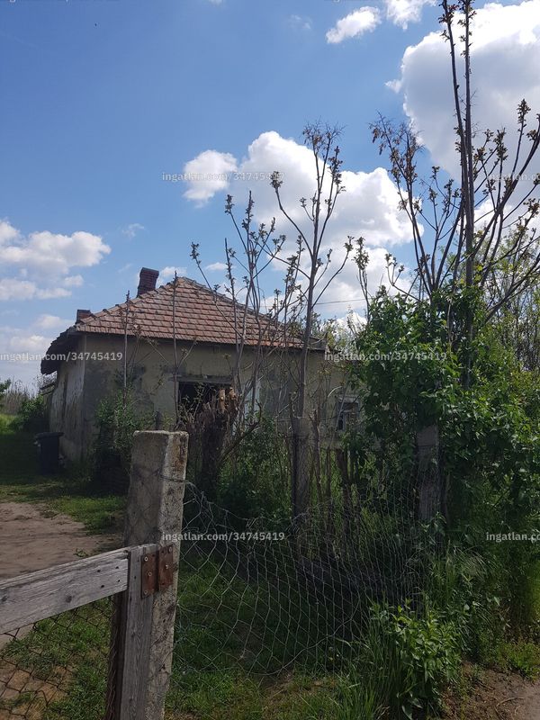 Foto auflisten