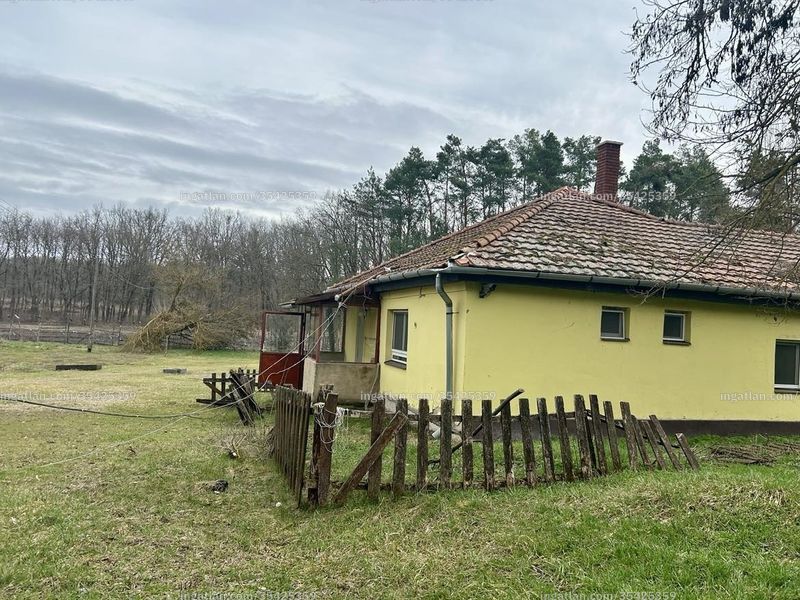 Kép az ingatlanról