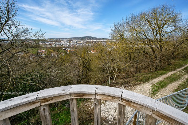 view