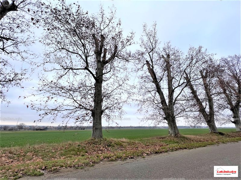 Foto auflisten