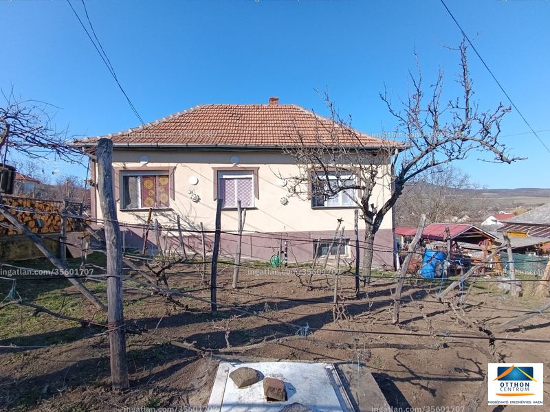 Ingatlan kép