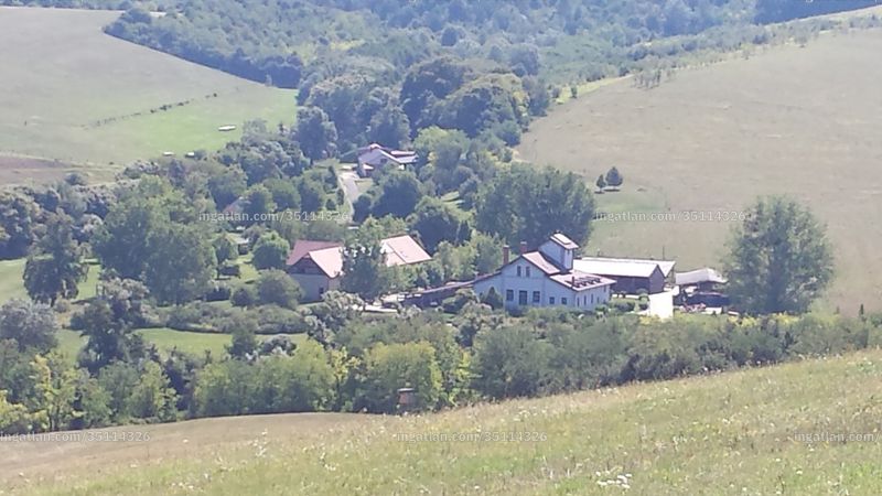 Kép az ingatlanról