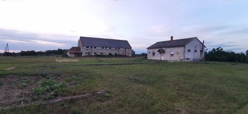 Hirdetés fotója