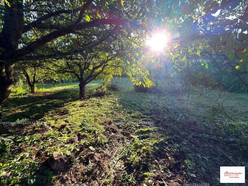 Foto auflisten