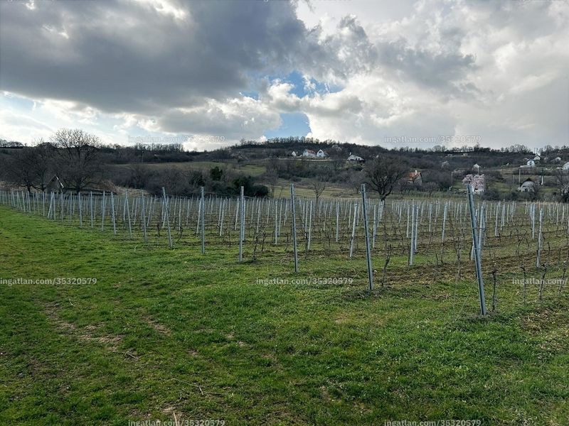 Bild über die Immobilie