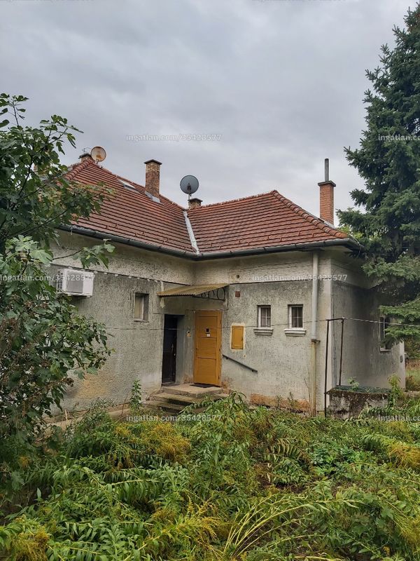 Ingatlan kép