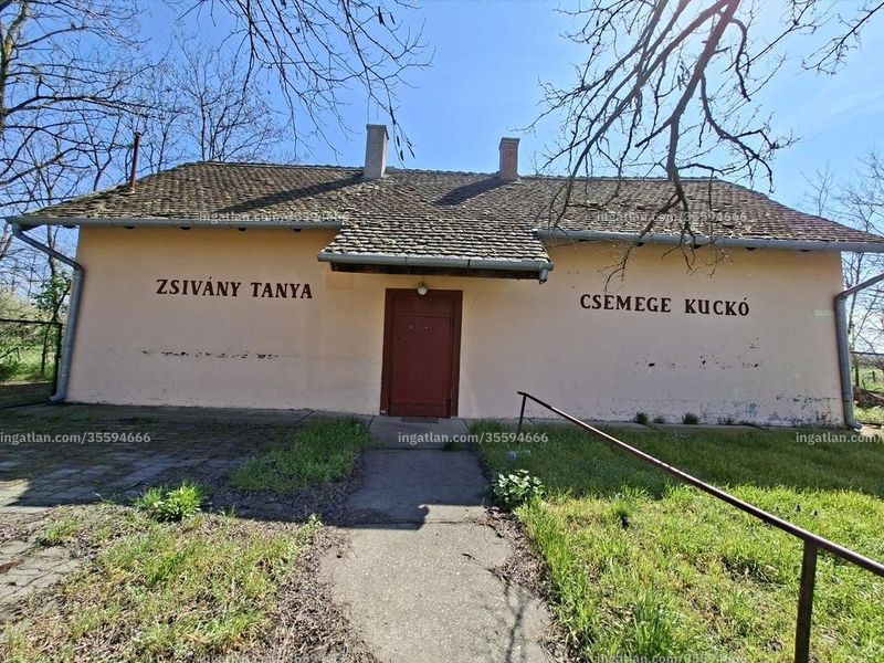 Kép az ingatlanról