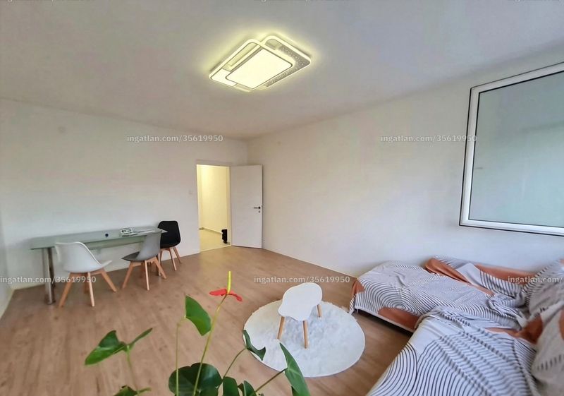 Bild über die Immobilie