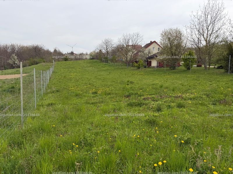 Hirdetés fotója
