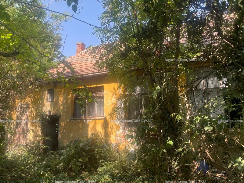 Foto auflisten