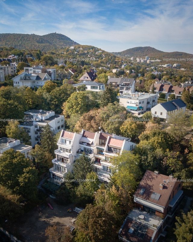 környék