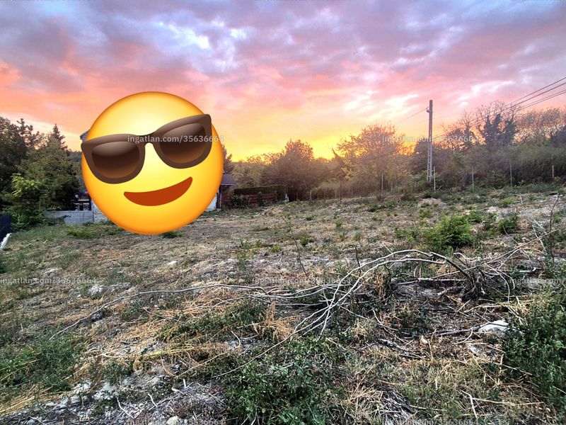 Foto auflisten