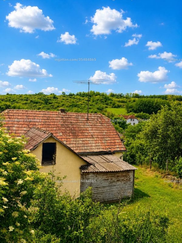 Kép az ingatlanról