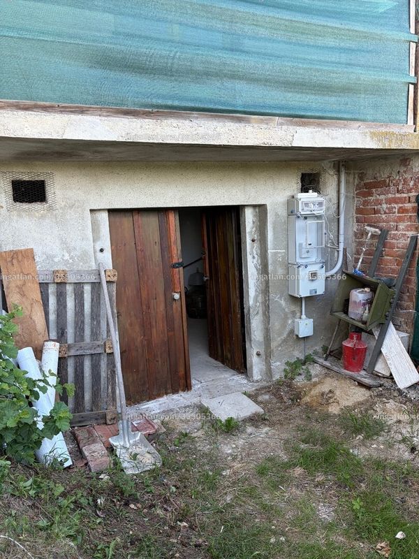 cellar