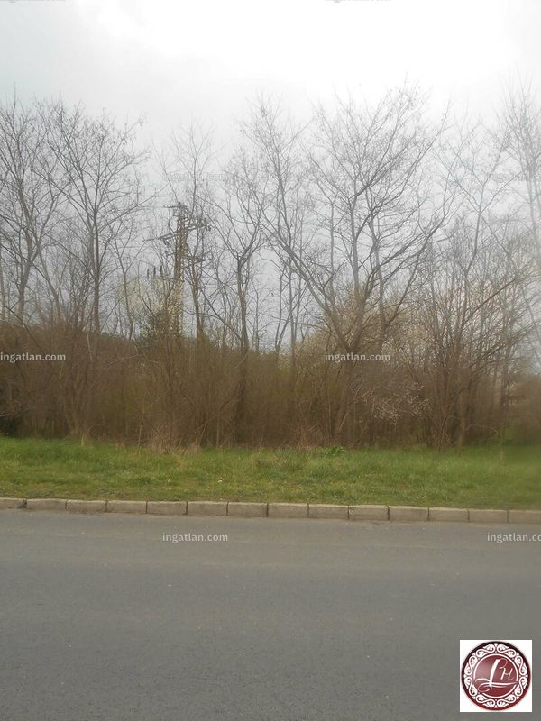 Foto auflisten