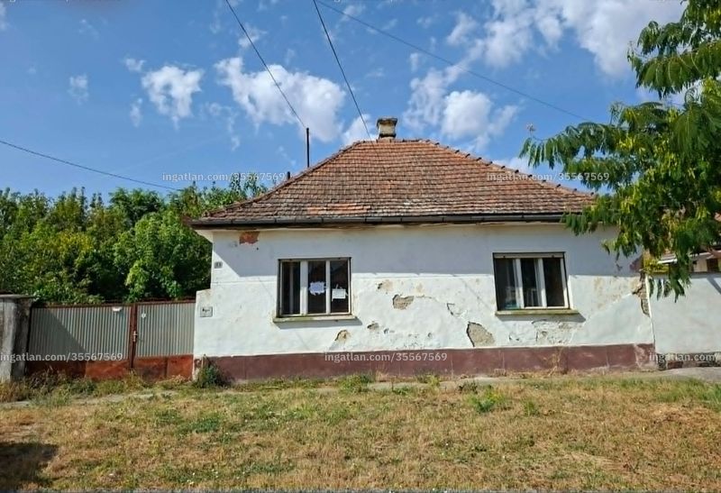 Ingatlan kép