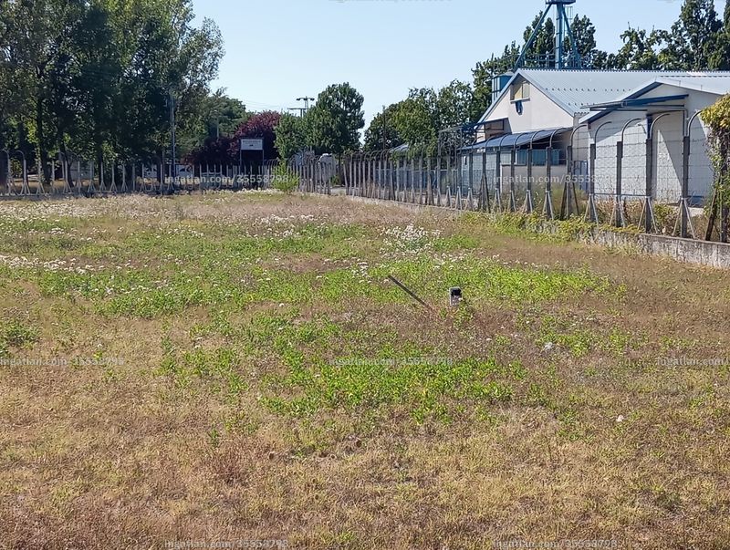 Foto auflisten