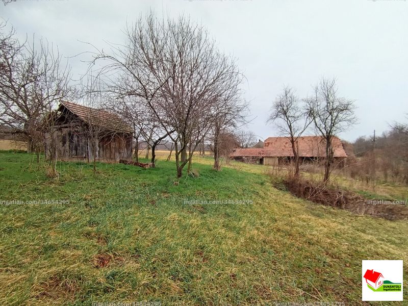 Foto auflisten