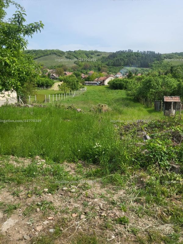 Foto auflisten