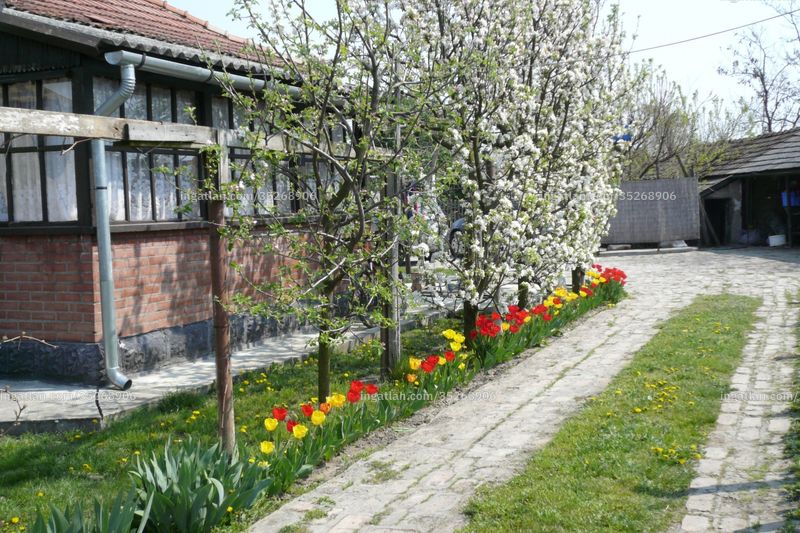 Kép az ingatlanról